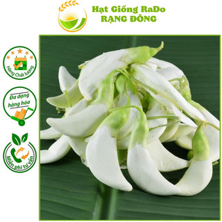 Hạt giống bông so đũa rado 102 hạt giống rạng đông