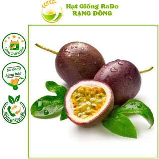 Hạt giống chanh dây rado 638 hạt giống rạng đông
