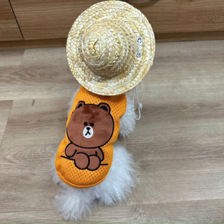 ÁO CHÓ MÈO - Áo thun cute dễ thương Hảo hảo, bún đậu, trà sữa - Chọn Mẫu