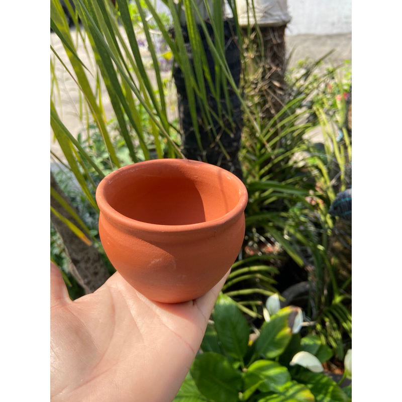 Chậu Mini trồng sen đá