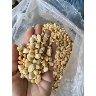 đá trang trí size nhỏ