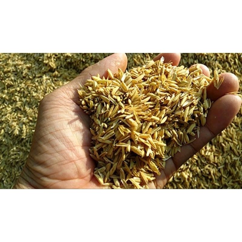 Bao 5 Ký vỏ  trấu trồng cây, vỏ trấu khô sạch trồng cây