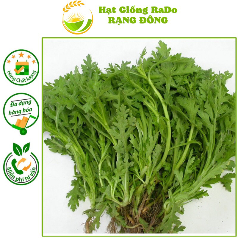 Hạt Giống Tần Ô RaDo 123 (Gói 20gram) Hạt Giống Rạng Đông