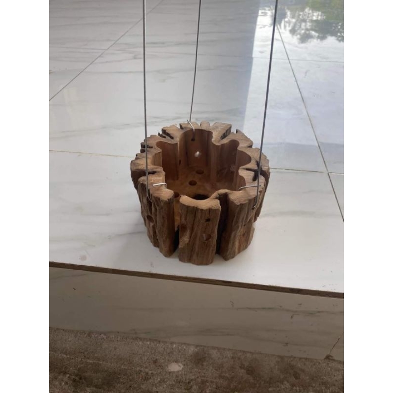 Chậu gỗ lũa trồng lan, chậu gỗ lũa tự nhiên, chậu gỗ trồng cây, chậu hỗ lũa trồng sen đá, chậu gỗ cọc lõi,chậu trồng hoa