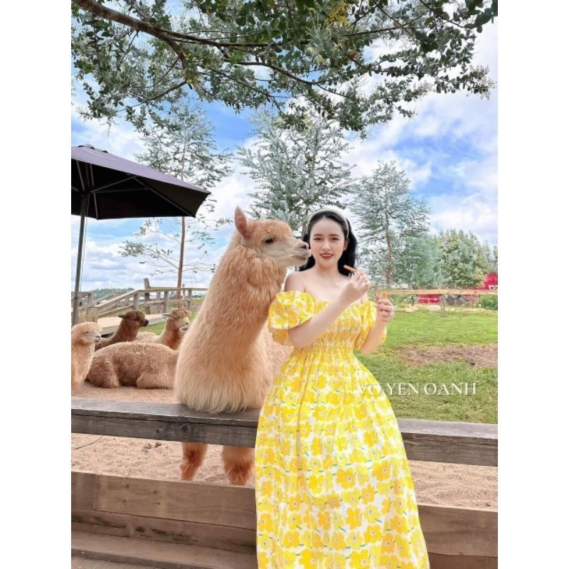 Đầm Hoa Dáng Dài Bo Chun Ngực
