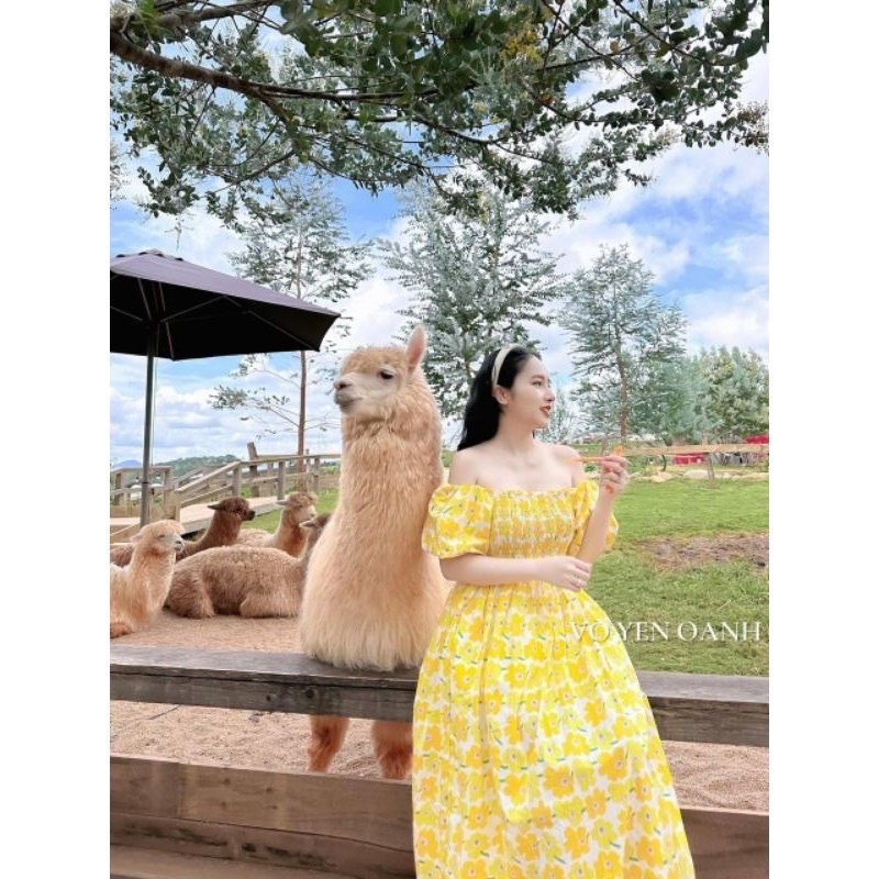 Đầm Hoa Dáng Dài Bo Chun Ngực