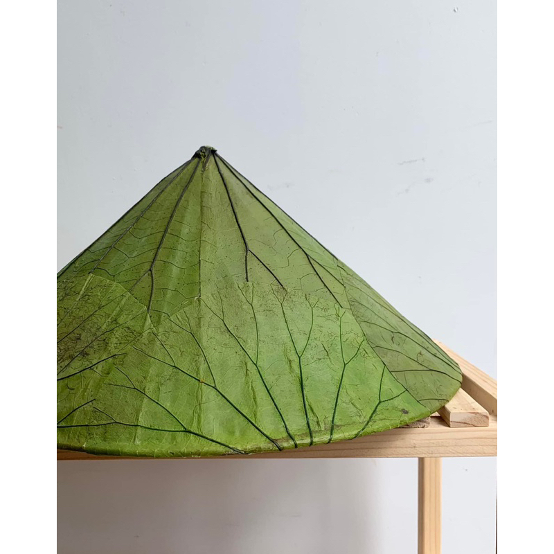 NÓN LÁ SEN SIZE CHO BÉ/ phụ kiện chụp hình độc đáo