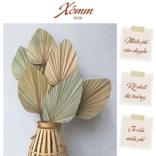 Lá Cọ Khô Đẹp Loại 1 Trang Trí - Decor, cắm bình , tiệc cưới, sự kiện