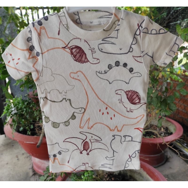 Áo phông bé trai xuất dư Carter