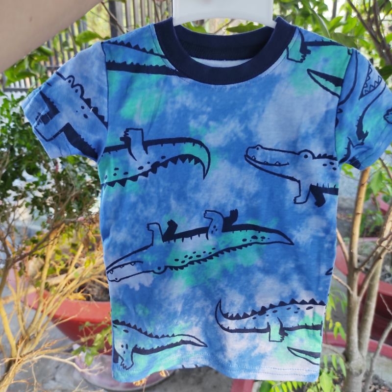 Áo phông bé trai xuất dư Carter