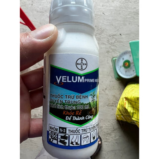 Thuốc trị tuyến trùng số 1 của Bayer.