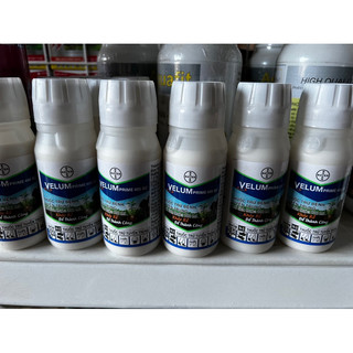 Thuốc trị tuyến trùng số 1 của Bayer.