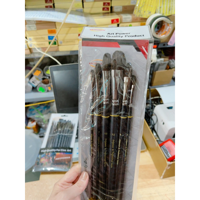 Bộ bút lông vẽ cao cấp