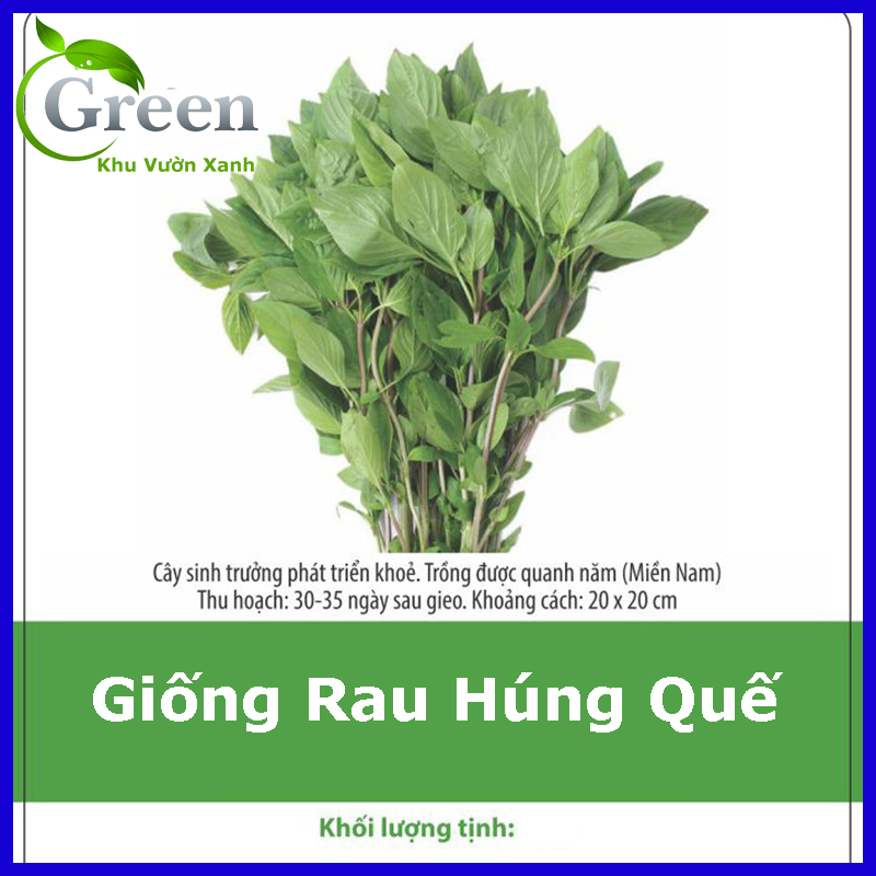 Hạt Giống Rau Thơm Gia Vị Thảo Mộc  Dễ Trồng, Nảy Mầm Tốt