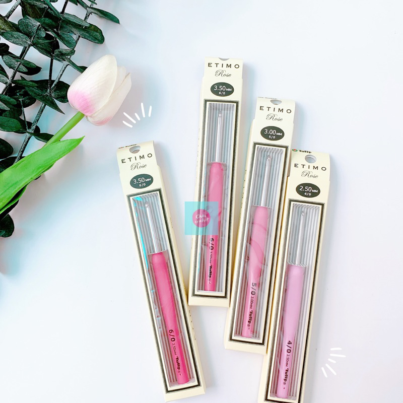 Kim móc Tulip  Etimo Rose nội địa Nhật