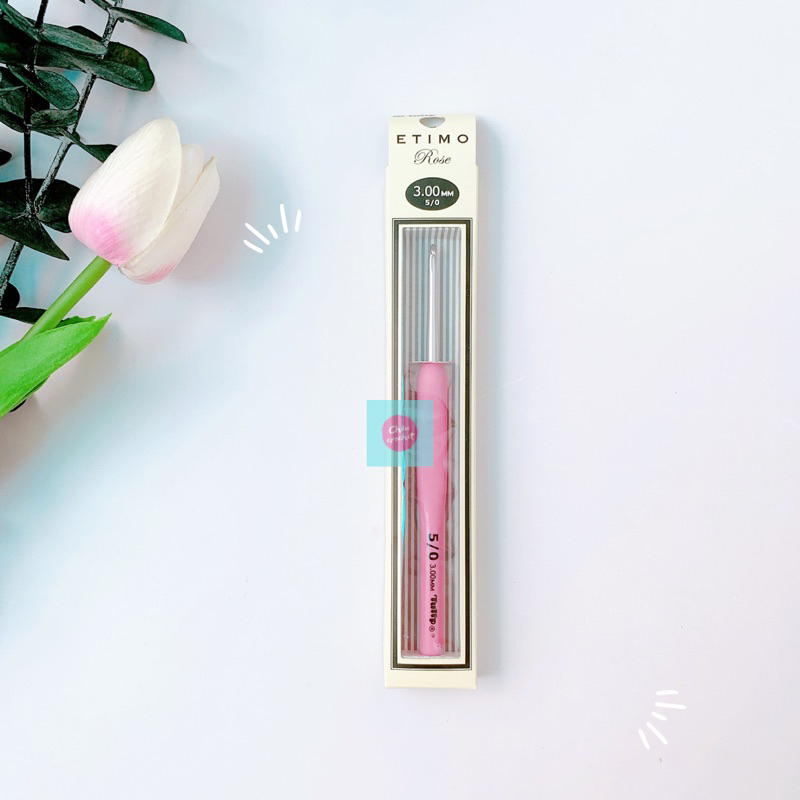 Kim móc Tulip  Etimo Rose nội địa Nhật