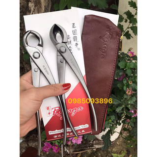 Combo cạp tròn cạp xéo Ryuga hàng chính hãng thép đúc nguyên khối
