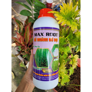 Phân bón lá đẻ nhánh, nở bụi MAX ROOT giúp ra rễ, tăng đẻ nhánh, giải độc phèn, mặn, hữu cơ chai 1 lít