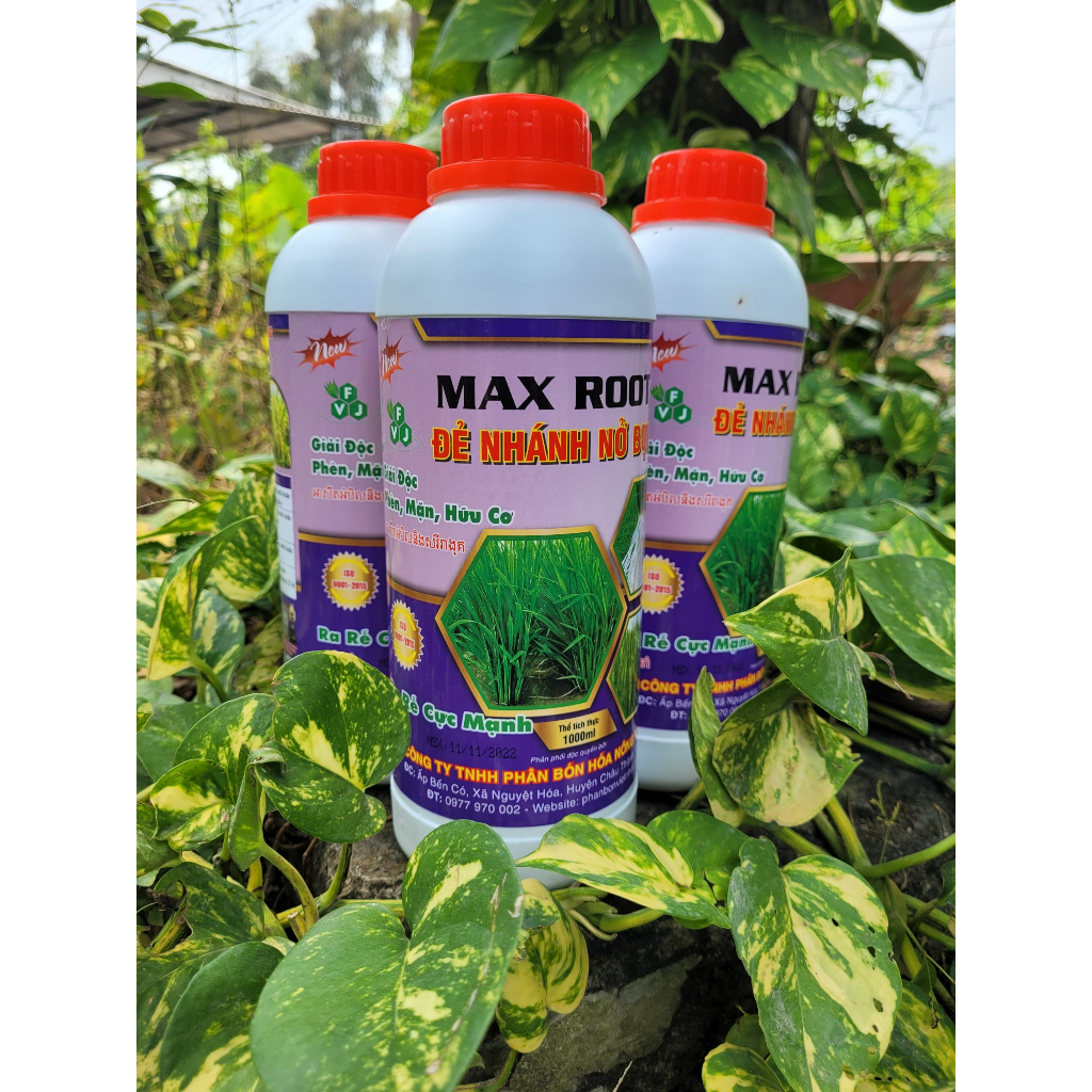 [Freeship Xtra] Phân bón lá MAX ROOT ĐẺ NHÁNH NỞ BỤI siêu ra rễ, đẻ nhánh, nở bụi, bung đọt chai 1 l