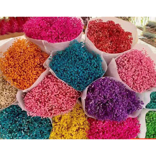 Hoa khô baby - Hoa baby khô bó to, Hoa khô quà tặng decor trang trí phòng khách, shop, bàn làm việc
