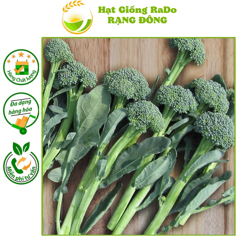 Hạt Giống Súp Lơ Baby Xanh RaDo 178 (Gói 0.1gram) Hạt Giống Rạng Đông