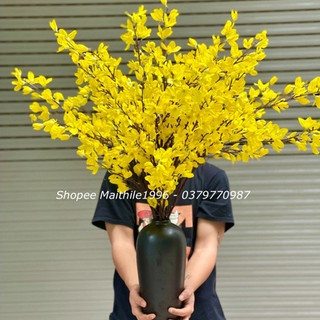 Bình hoa mai mỹ cắm sẵn , bình hoa để nội thất phòng khách