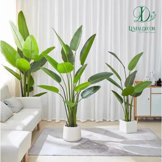Cây chuối giả chuối rẻ quạt hàng xịn - 3 nhánh