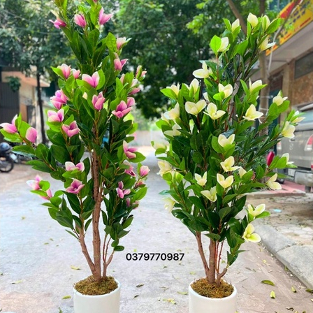 Cây hoa mộc lan 180cm - Cây hoa giả