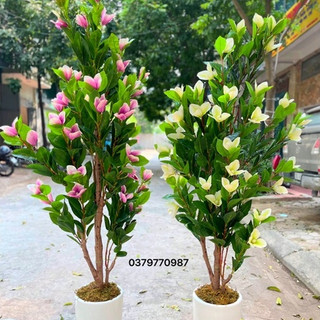 Cây hoa mộc lan 180cm - Cây hoa giả