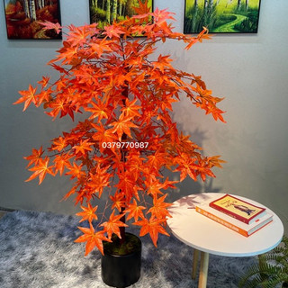 Cây lá phong đỏ giả loại cao cấp lá nhọn, decor - Cây giả