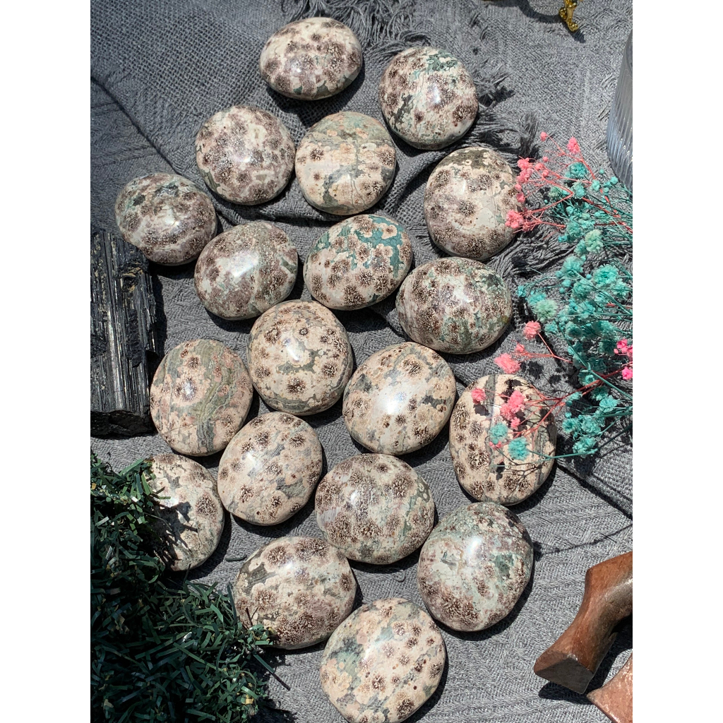 Palm Russian Flower Agate 4-5cm