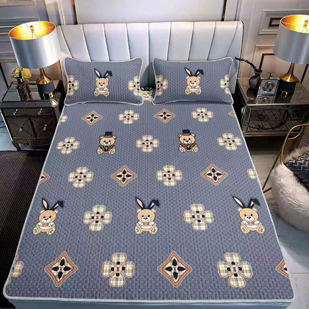 Chiếu Điều Hòa Cao Su Non  In Hình 2D Siêu Mát Tặng Kèm 2 Vỏ Gối