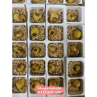 Mè Xửng Hạt Sen Huế Xưa
