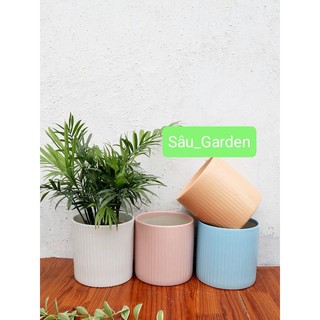Chậu sứ trụ kẻ tăm