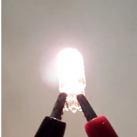 Bóng đèn ghim t10 12v và 24v demi chính hãng 1 bóng
