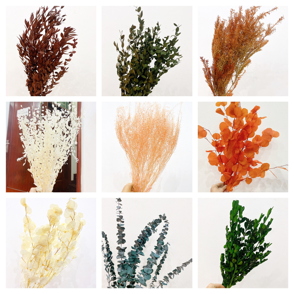 Lá cây khô làm đạo cụ chụp ảnh, decor, chụp ảnh, trang trí
