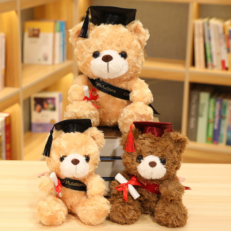 Gấu bông tốt nghiệp lông xù cử nhân cầm bằng, gấu congratulate chúc mừng thành công thăng chức chiến thắng