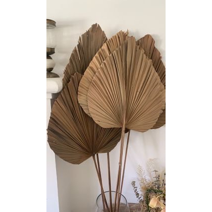 Lá cọ tự nhiên trang trí phòng, decor chụp hình,cắm bình bông KATI.HN