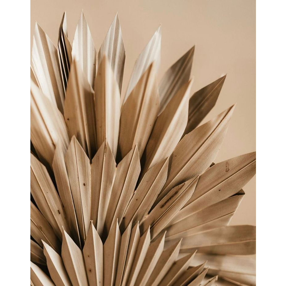 Lá cọ tự nhiên trang trí phòng, decor chụp hình,cắm bình bông KATI.HN