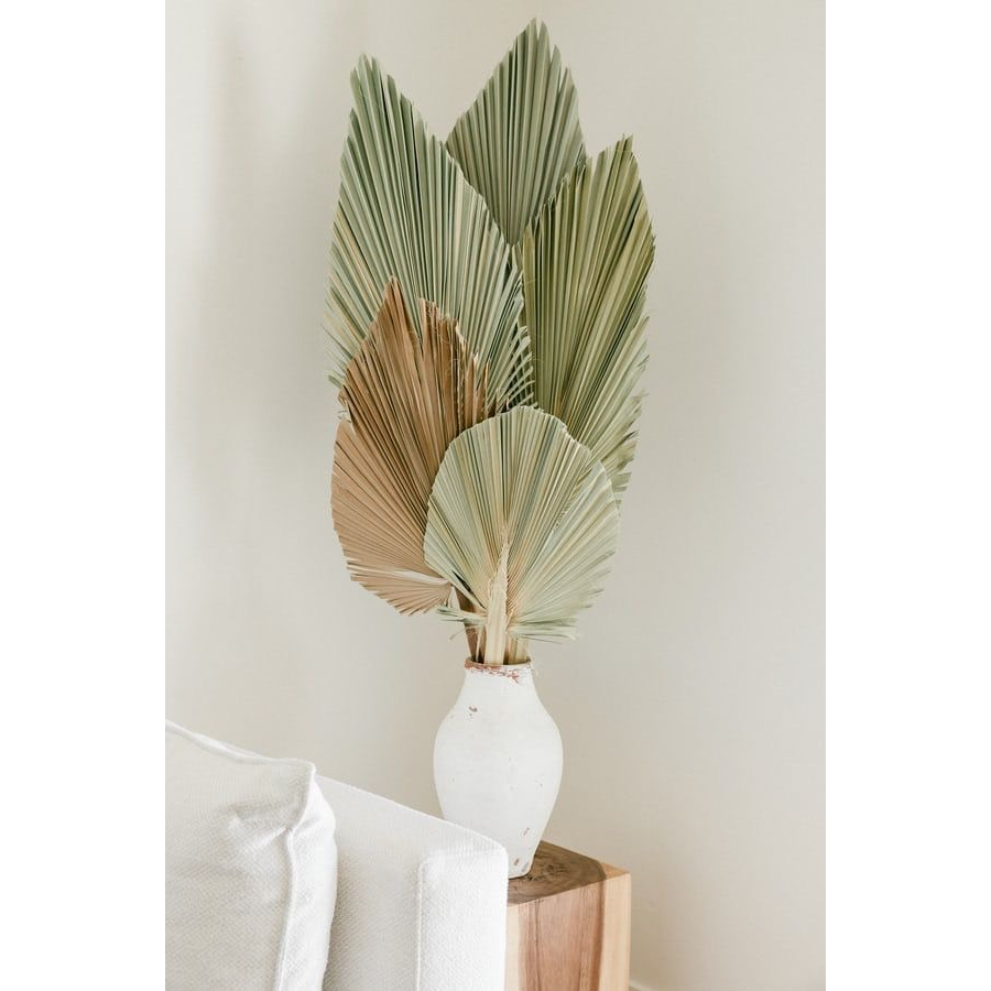 Lá cọ tự nhiên trang trí phòng, decor chụp hình,cắm bình bông KATI.HN