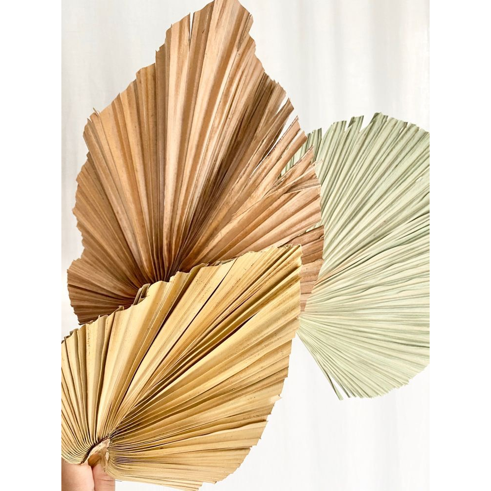 Lá cọ tự nhiên trang trí phòng, decor chụp hình,cắm bình bông KATI.HN