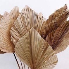 Lá cọ tự nhiên trang trí phòng, decor chụp hình,cắm bình bông KATI.HN