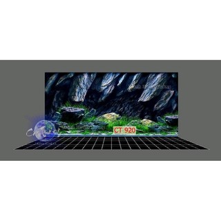 Tranh 3d. tranh dán bể cá thủy sinh, bể cá rồng
