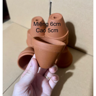 Combo 10 chậu 6x5cm - chậu đất nung 6cm (miệng 6cm)