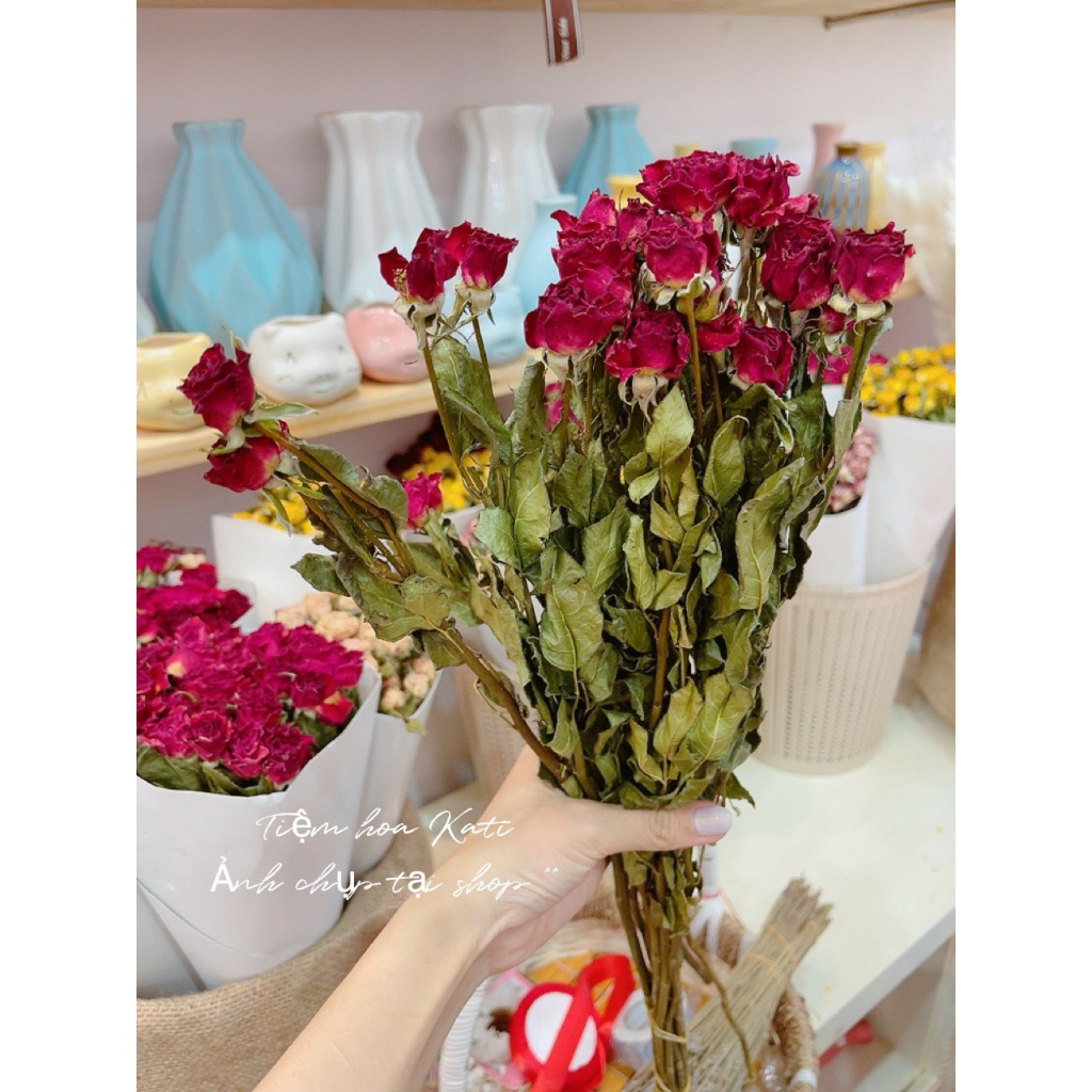 Hoa hồng tỷ muội khô ❤️FREESHIP❤️ Hoa khô Rosie Dried Flowers trang trí phòng ngủ, showroom, tiệc cưới Rustic cổ điển