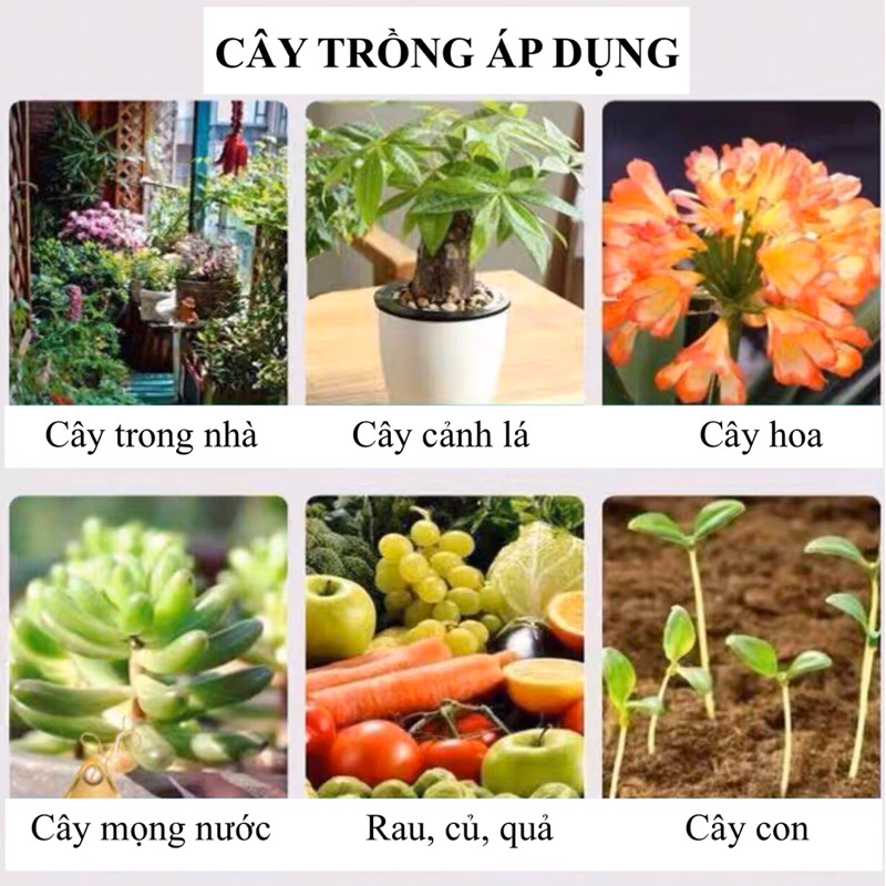 138gr phân bón giải nén cải tạo đất, phân bón hòa tan trong nước, tơi xốp đất, tạo rễ con Trung Quốc