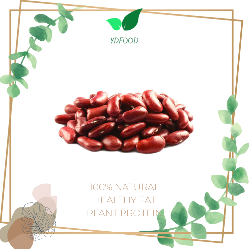 ĐỖ ĐỎ (Đậu đỏ) hạt to - Thơm Ngon Bở - làm sữa hạt