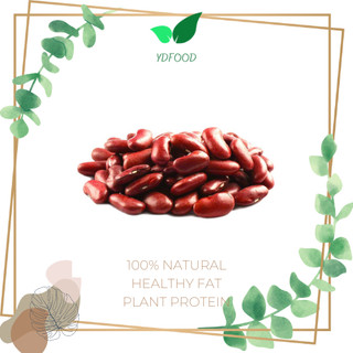 ĐỖ ĐỎ (Đậu đỏ) hạt to - Thơm Ngon Bở - làm sữa hạt