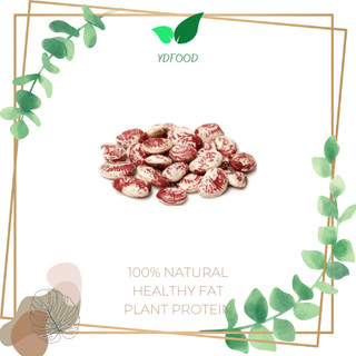 Hạt đậu ngự quê giống thuần chủng 500gr
