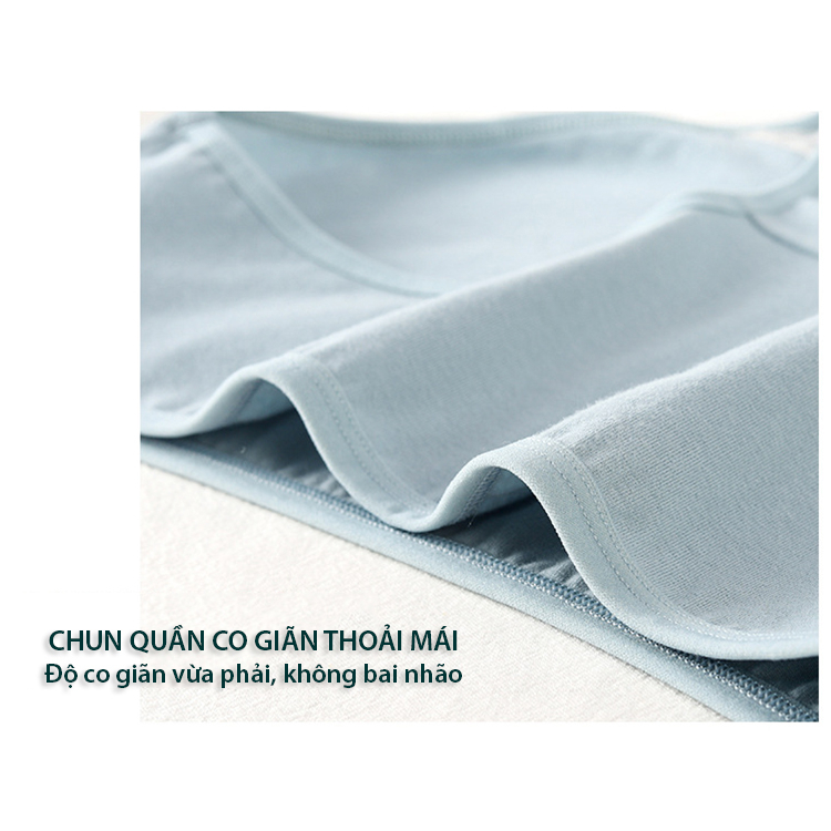Quần Lót Nữ cotton nguyên chất, kháng khuẩn, mềm mại cho nữ sinh và phụ nữ từ 30kg